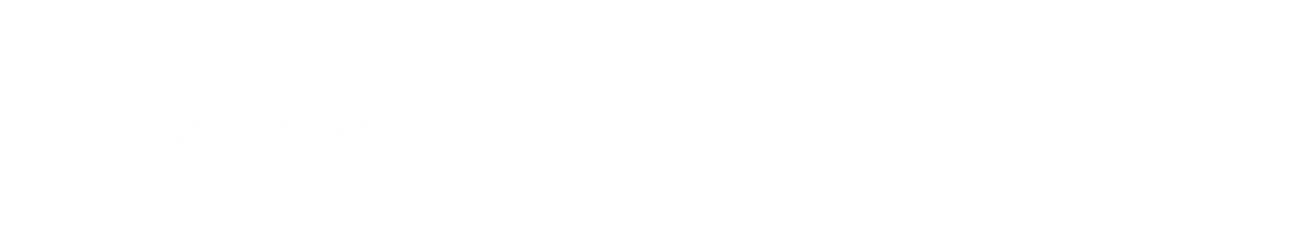 RaraCube Logo